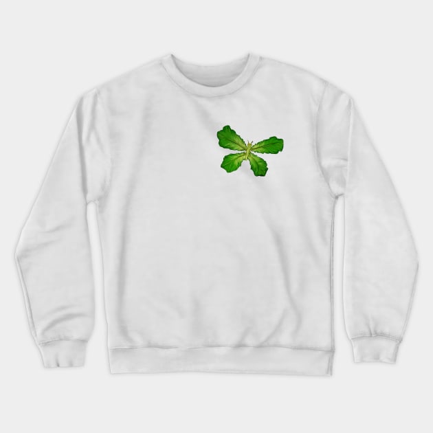 Lettuce Larry Crewneck Sweatshirt by ColonelBaconBits